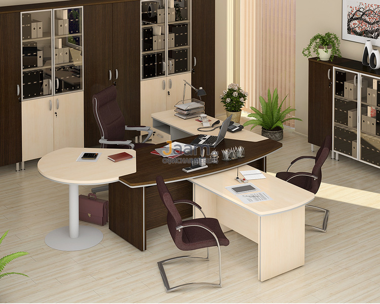 Кабинет руководителя Берлин-Директор