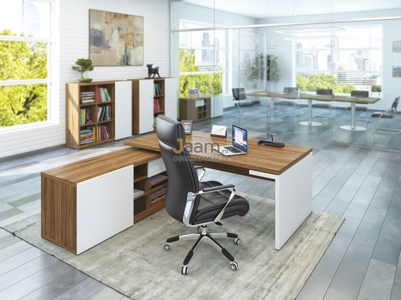 Кабинет руководителя ZION