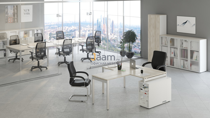 Кабинет руководителя TESS