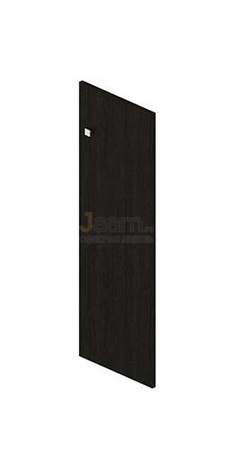 Мебель для персонала Дверь средняя ЛДСП R-8.1