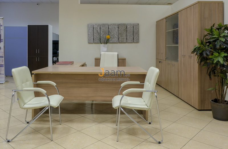 Кабинет руководителя Патриот