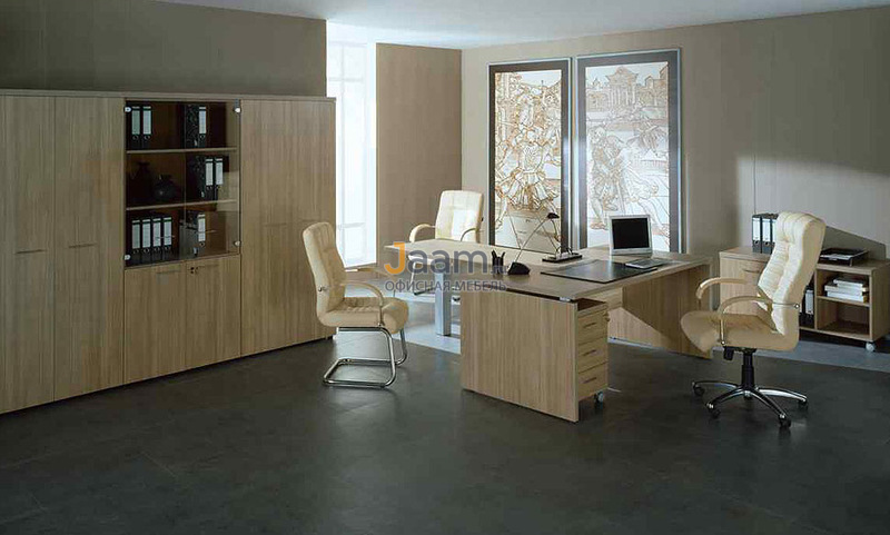 Кабинет руководителя Патриот