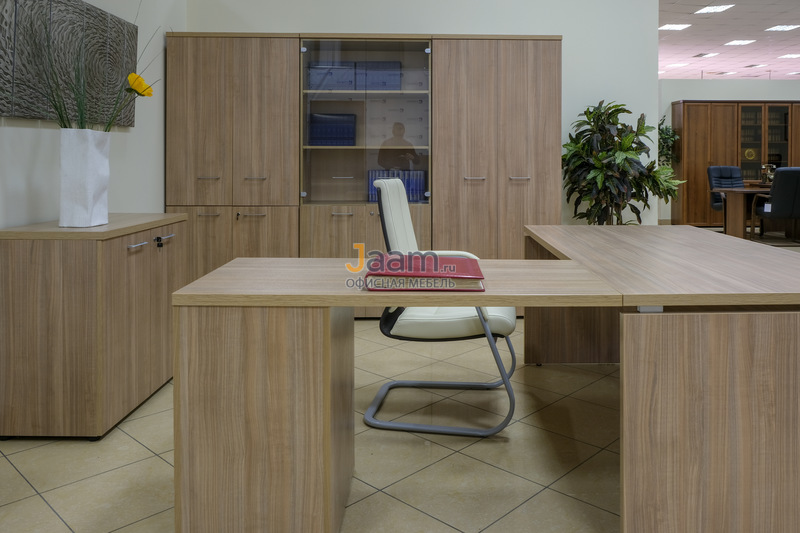 Кабинет руководителя Патриот