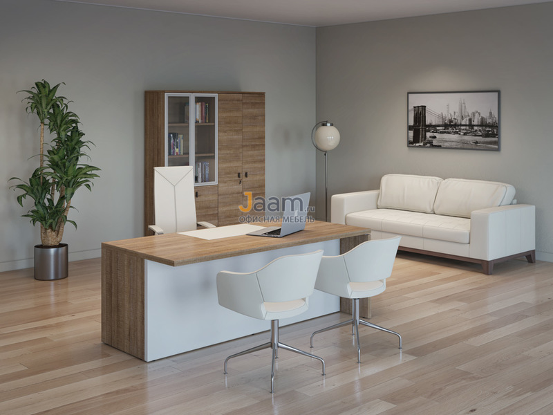 Кабинет руководителя Terra