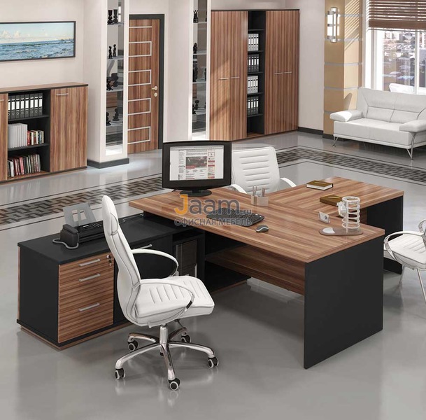 Кабинет руководителя Сенатор