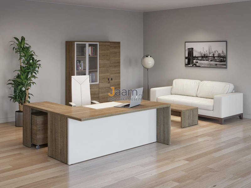 Кабинет руководителя Terra